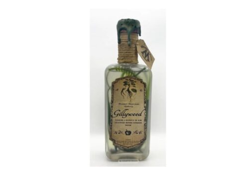 Harry Potter Gillyweed Potion Magic Apothecary Herbology Glass Bottle Prop