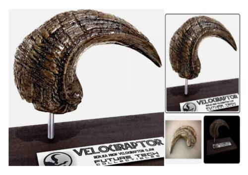 Velociraptor Claw