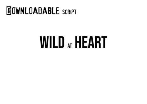 Wild at Heart script