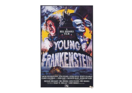 Young Frankenstein poster